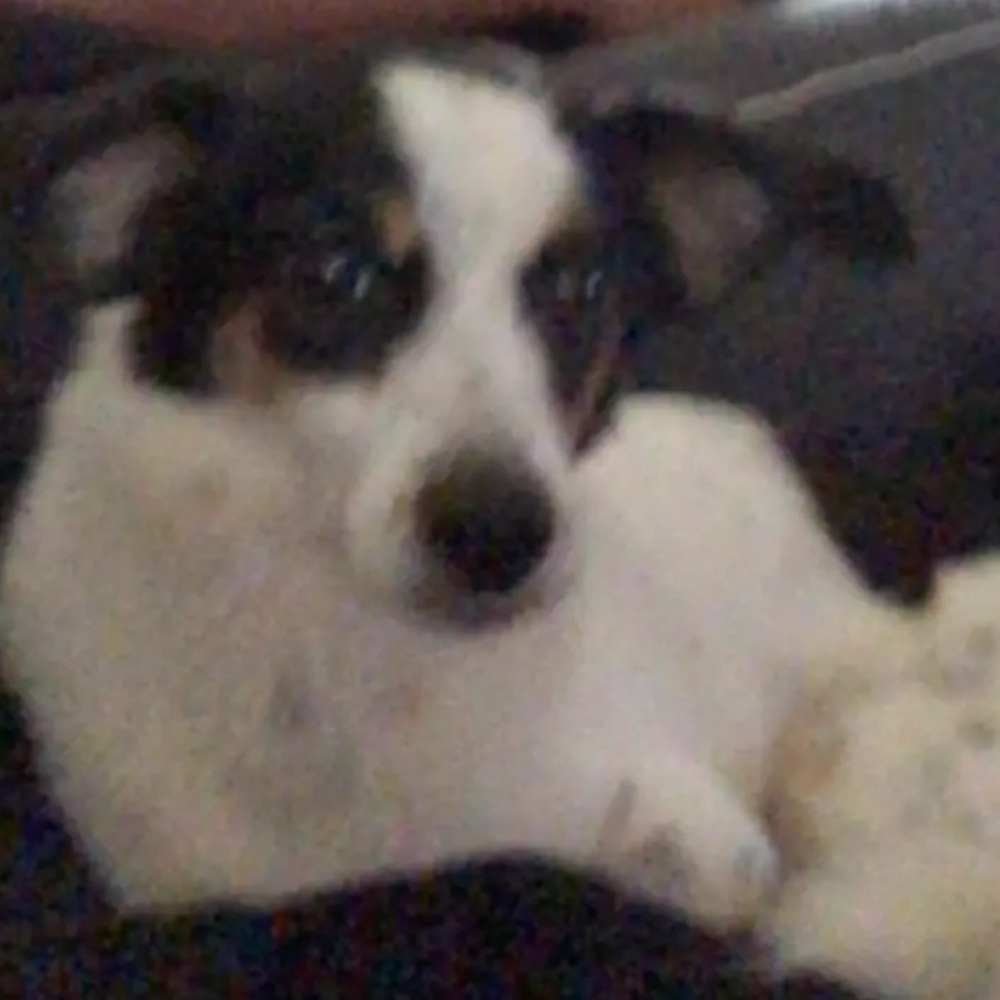 Meet your Posher, Pati